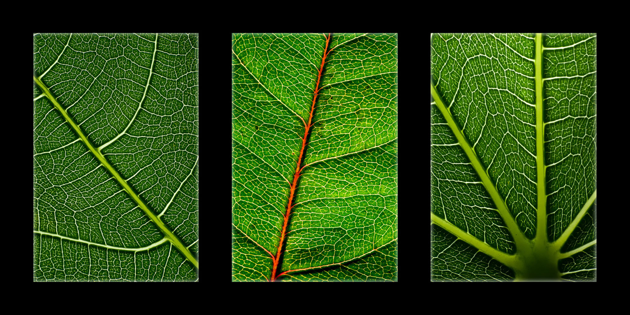 Muestra Fotográfica "milimétricos" - Andrea Bosetti - Andrés Ruggeri